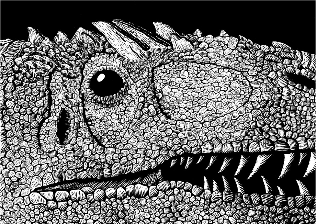 2D Black and White Allosaurus Dinosaur Illustration