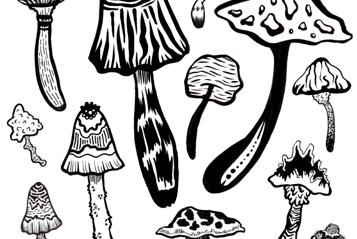 2D Black and White Mushroom Illustration