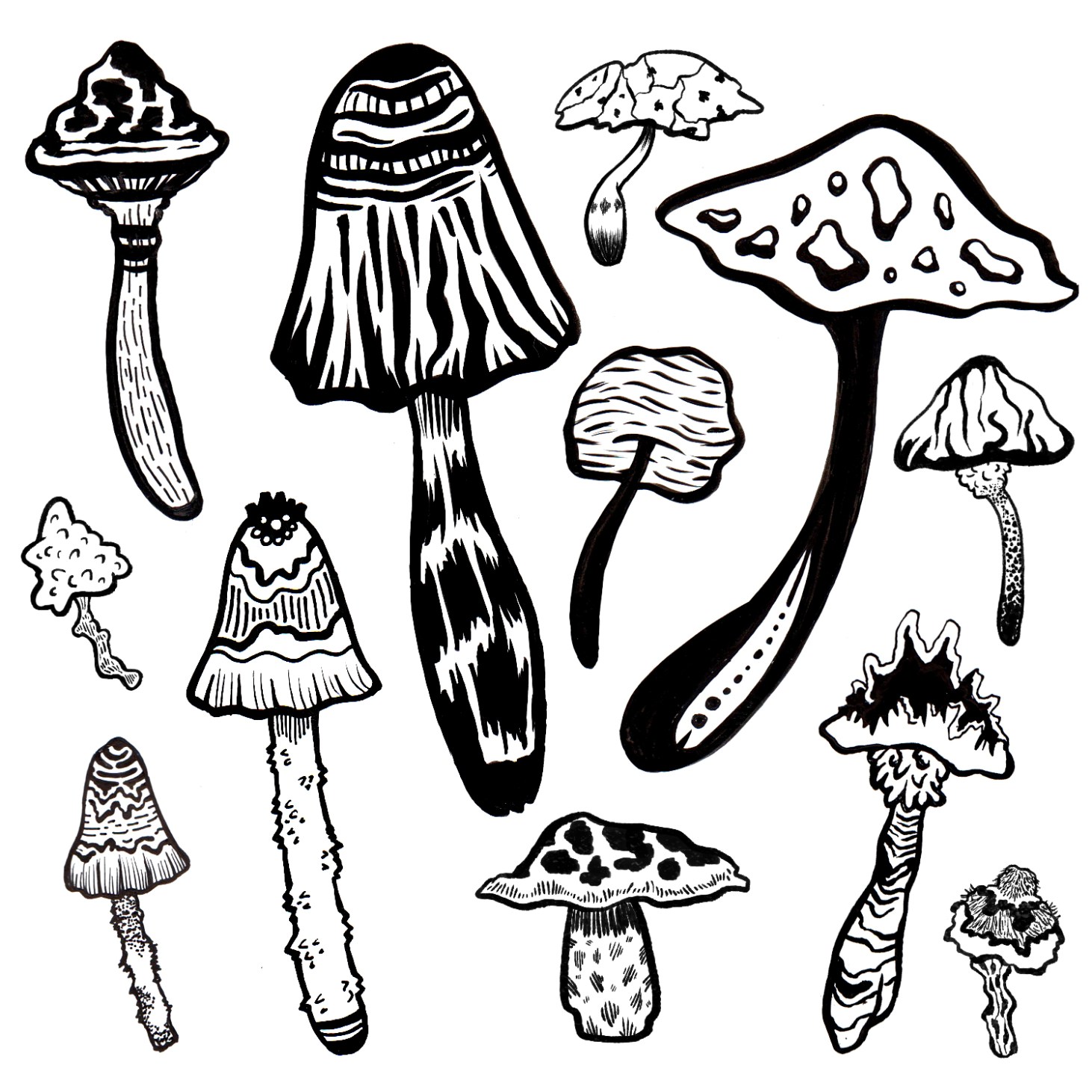 2D Black and White Mushroom Illustration