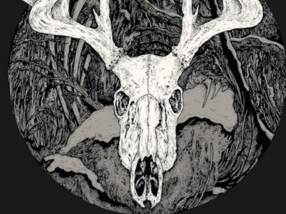 2D Black and White Reindeer Skull Illustration