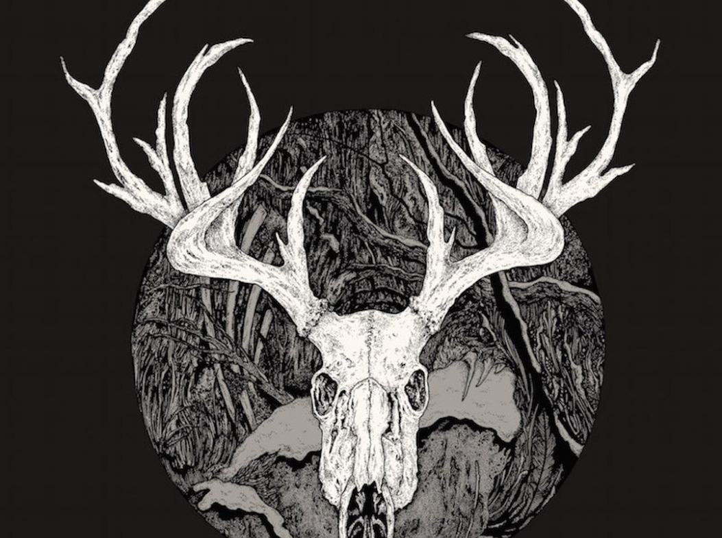 2D Black and White Reindeer Skull Illustration
