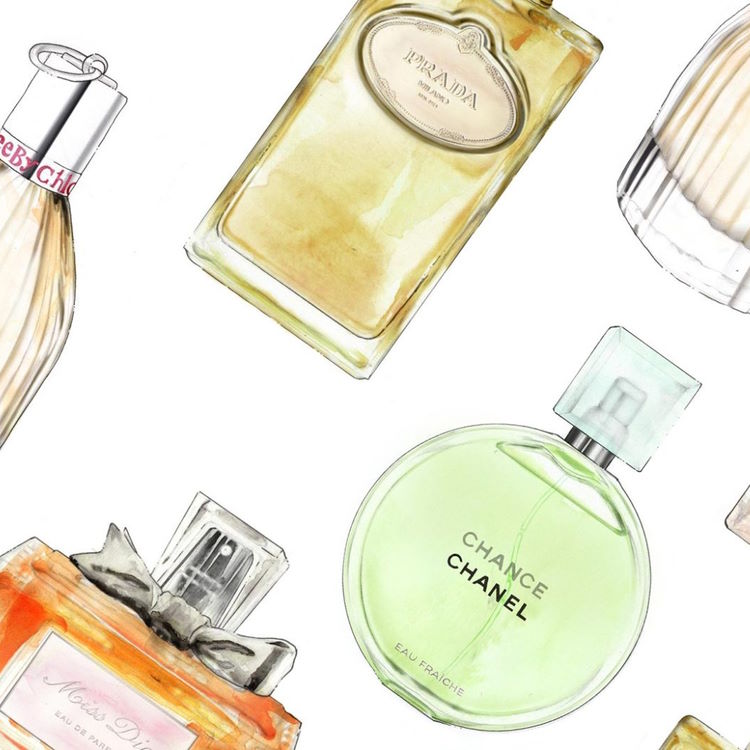 Fall artist profile picture