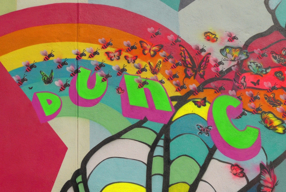 2D Colourful Spray Painted Butterfly Graffiti Mural