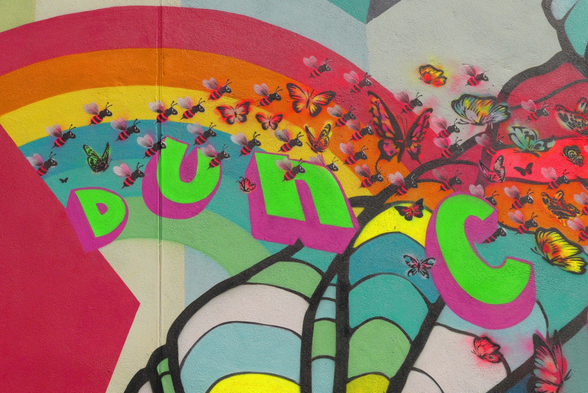 2D Colourful Spray Painted Butterfly Graffiti Mural