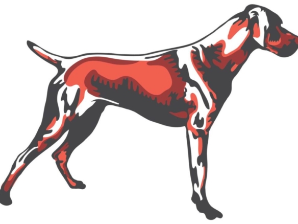 2D Graphic Graffiti Style Hound Dog Illustration