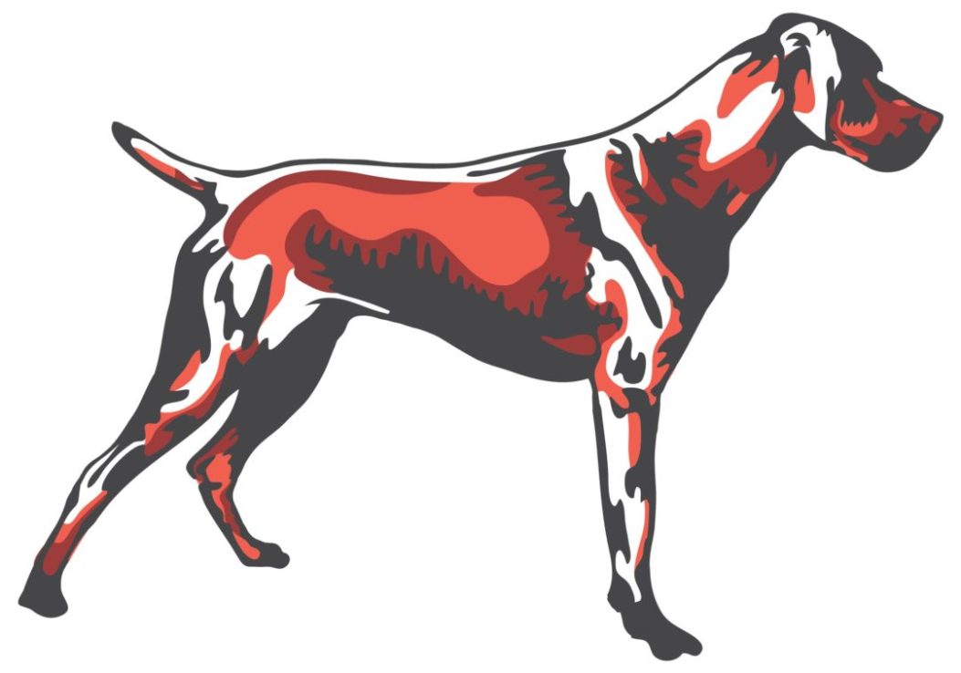 2D Graphic Graffiti Style Hound Dog Illustration