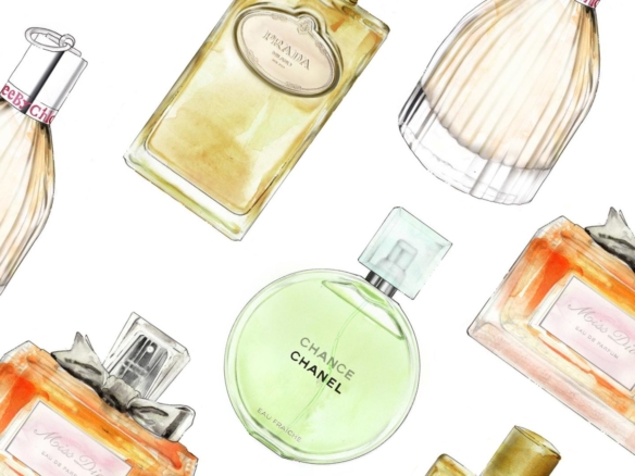 2D Perfume Bottles Beauty Product Illustration