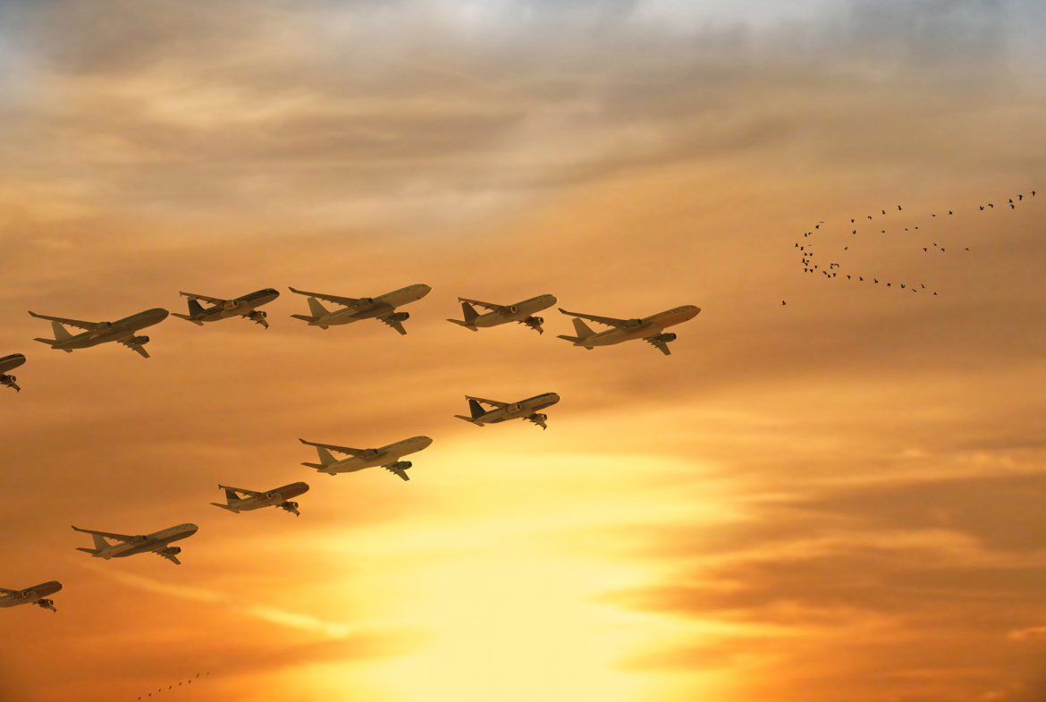 3D Aeroplane Migration Illustration