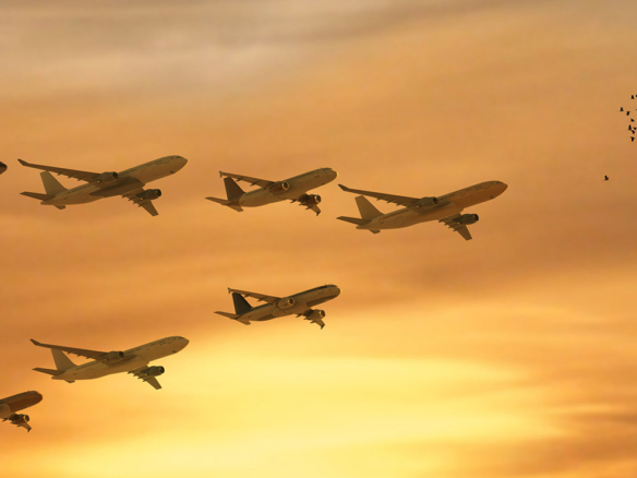 3D Aeroplane Migration Illustration Thumbnail