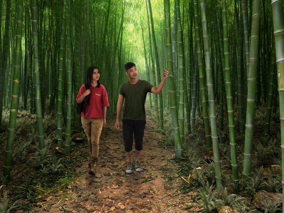 3D Bamboo Environment Illustration Thumbnail