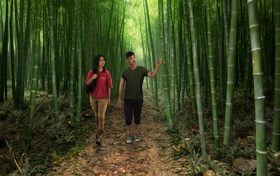 3D Bamboo Environment Illustration Thumbnail