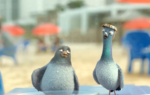 3D Birds on Holiday Cartoon Animation Thumbnail