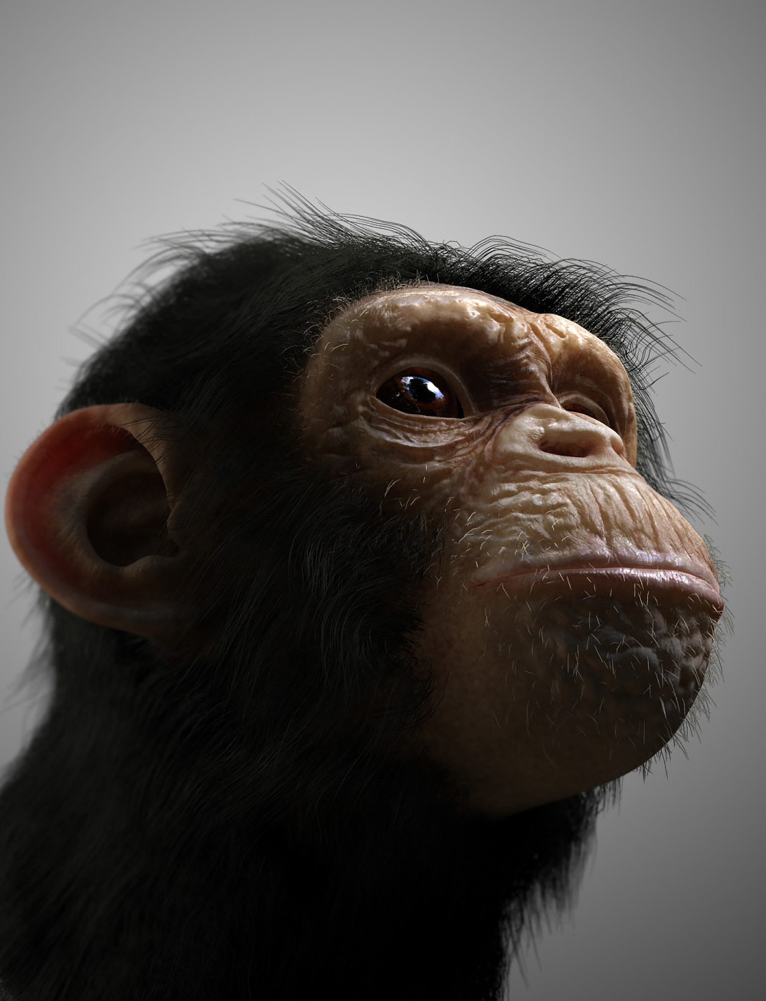 3D Chimp Character Illustration