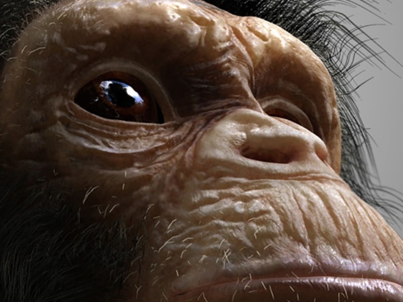 3D Chimp Character Illustration Thumbnail