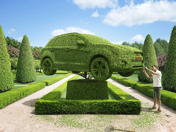 3D Green Cars Hedge Illustration Thumbnail