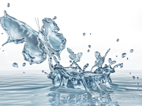 3D clear liquid splash butterfly