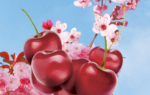 3D Cherry Blossom Illustration Thumbnail