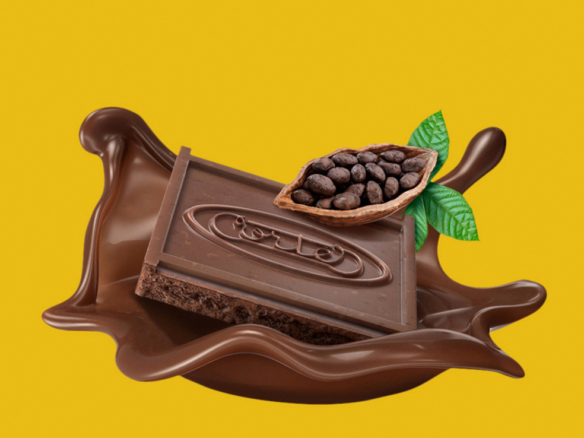 3D Coco Bean Chocolate Biscuit Illustration Thumbnail