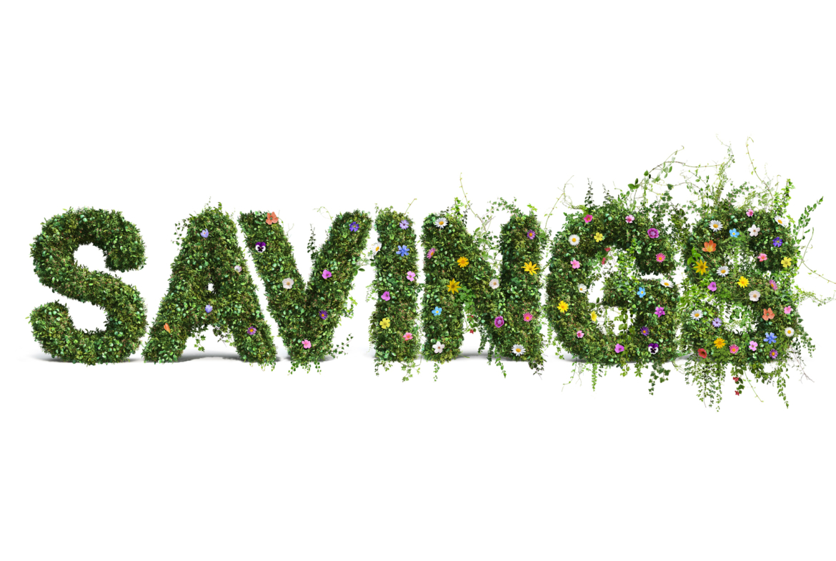 3D Savings Flower Text Photo Retouch Illustration