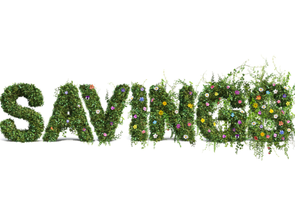 3D Savings Flower Text Photo Retouch Illustration Thumbnail