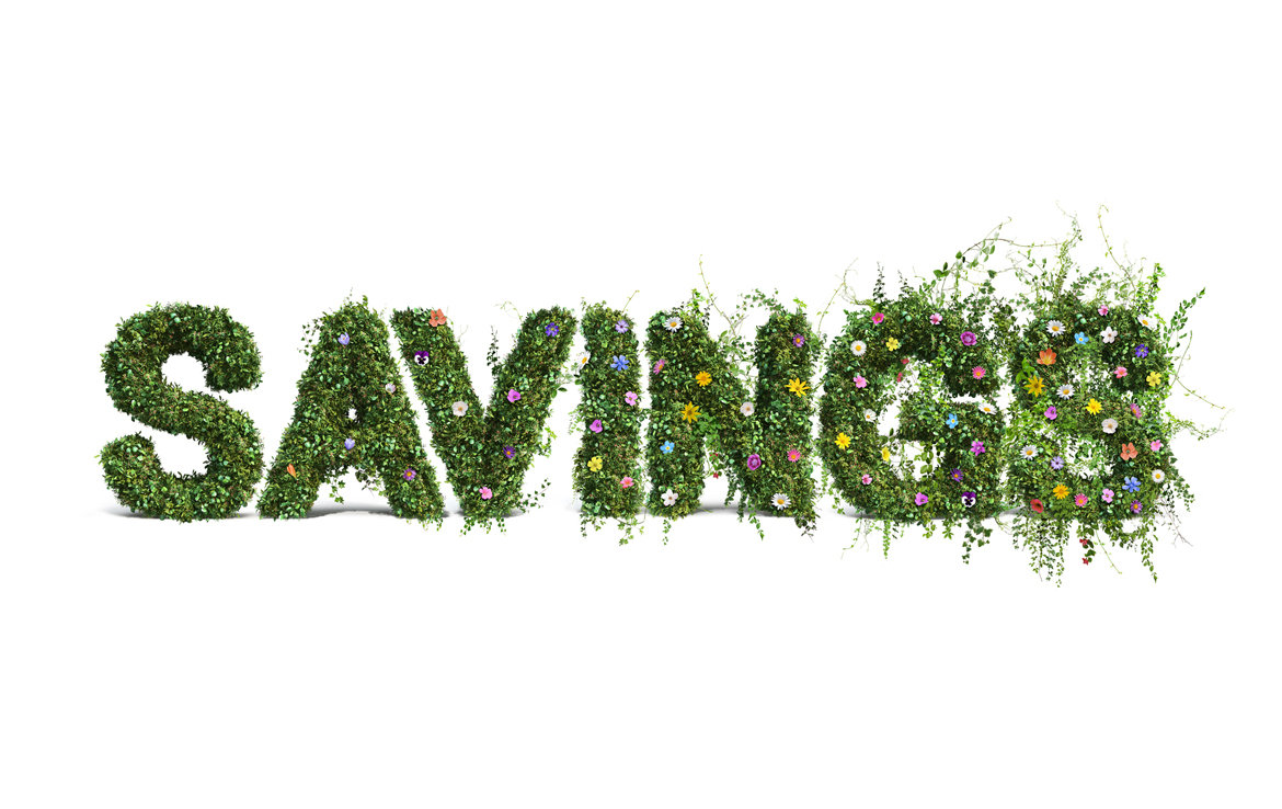 3D Savings Flower Text Photo Retouch Illustration Thumbnail