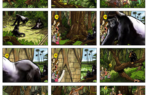 2D Wildlife Safari Advertisement Storyboard Illustration Thumbnail