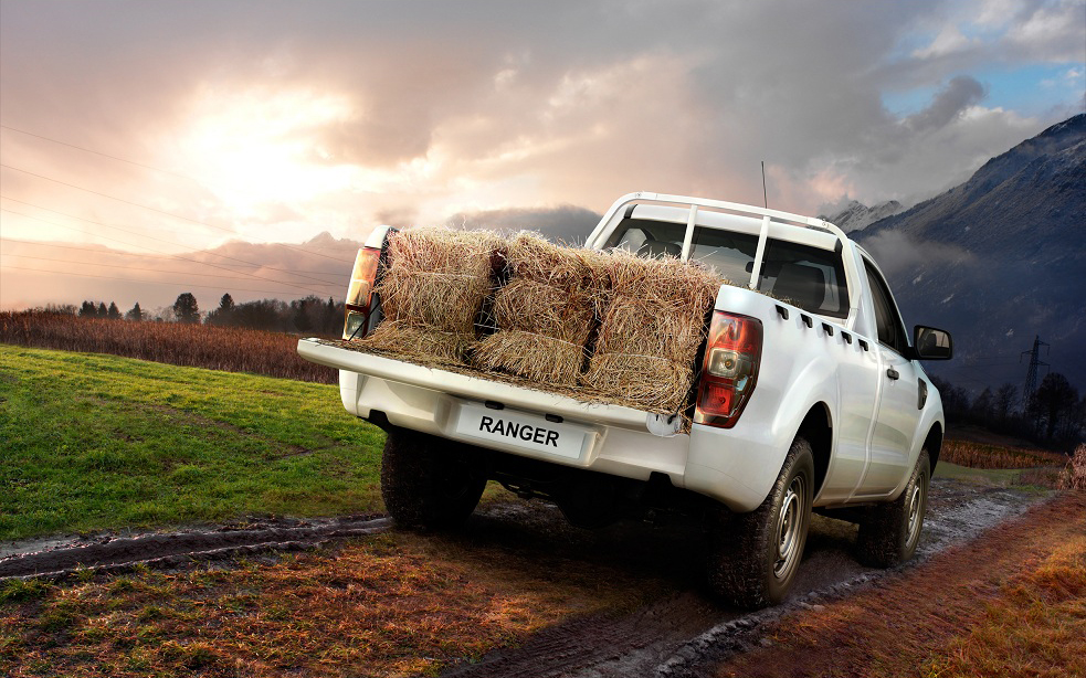 3D Ford Ranger Rear Automotive Illustration