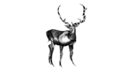2D Black and White Deer Illustration Image