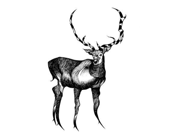 2D Black and White Deer Illustration Image