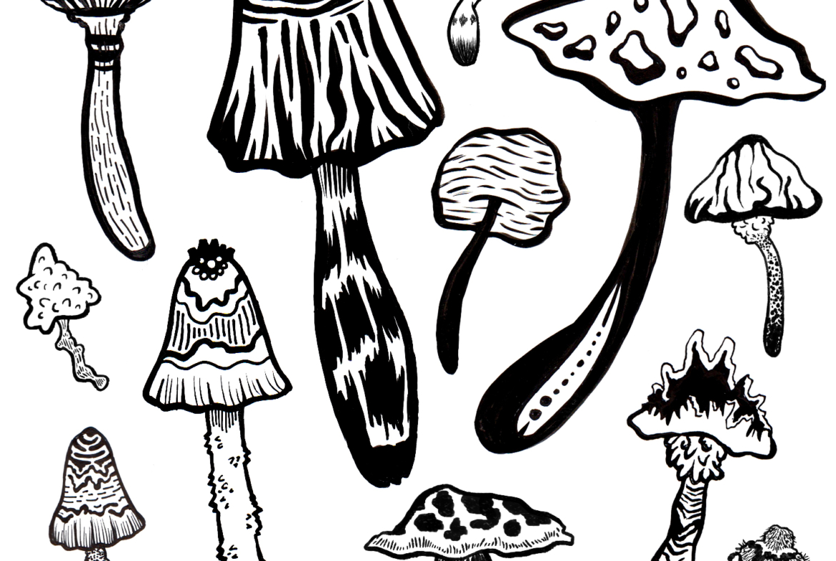 2D Cartoon Mushrooms Black and White Illustration