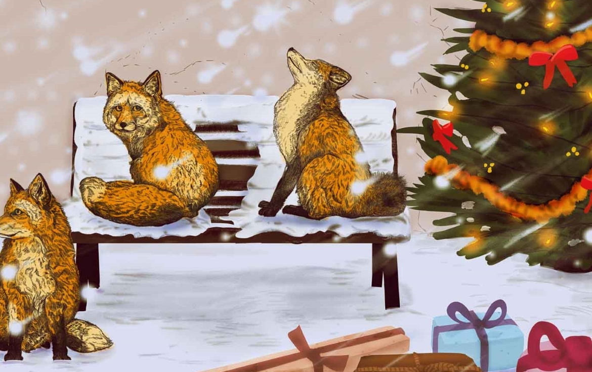 2D Christmas Foxes Illustration Image
