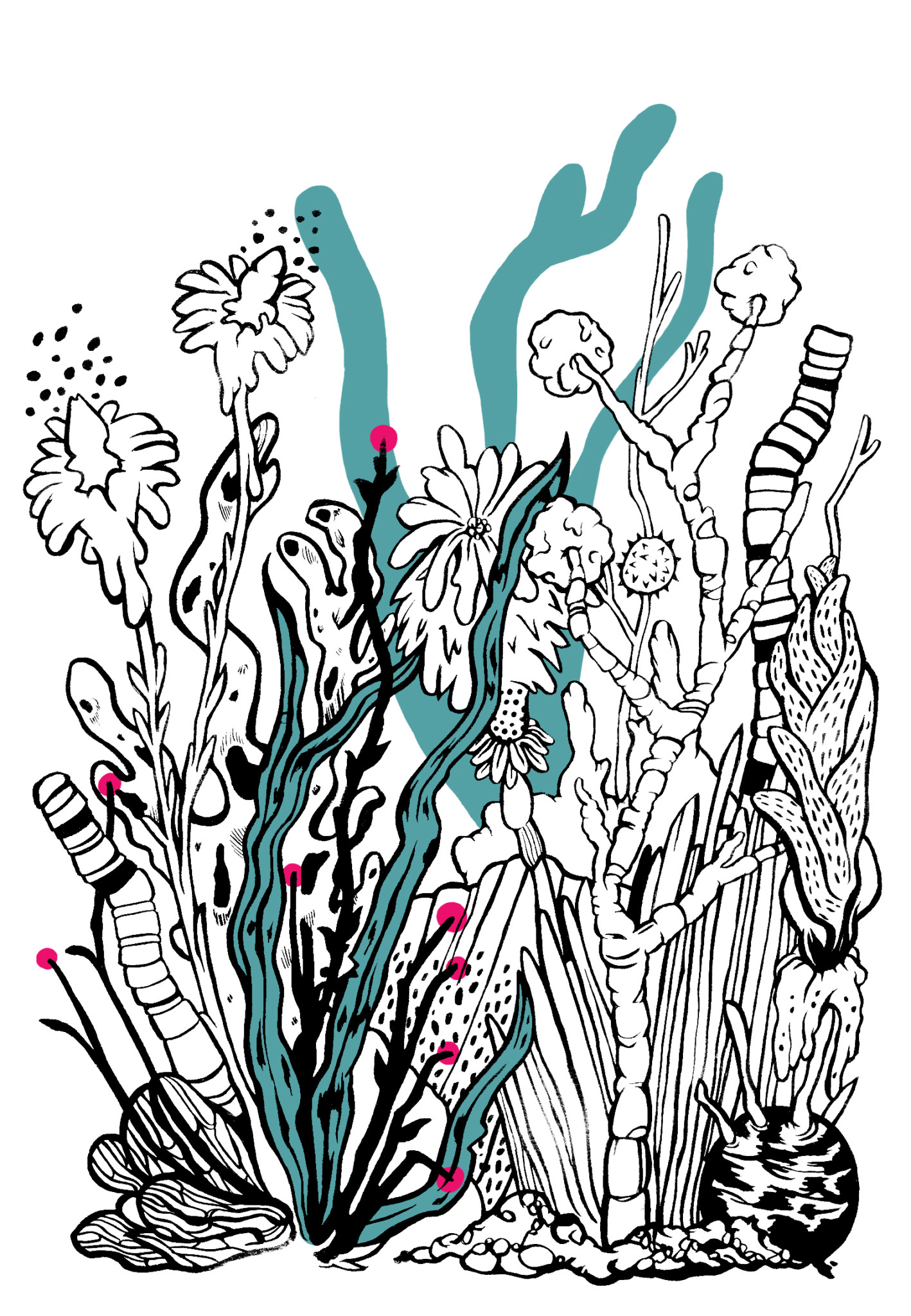 2D Exotic Stylised Flowers Illustration