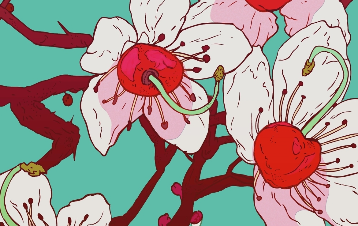 2D Graphic Cherry Blossoms Flowers Digital Illustration Image