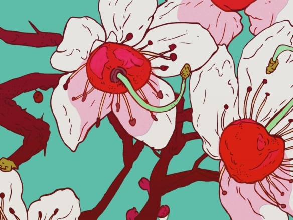 2D Graphic Cherry Blossoms Flowers Digital Illustration Image