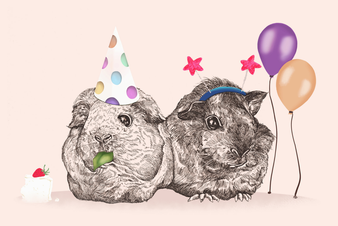 2D Guinea Pig Party Illustration