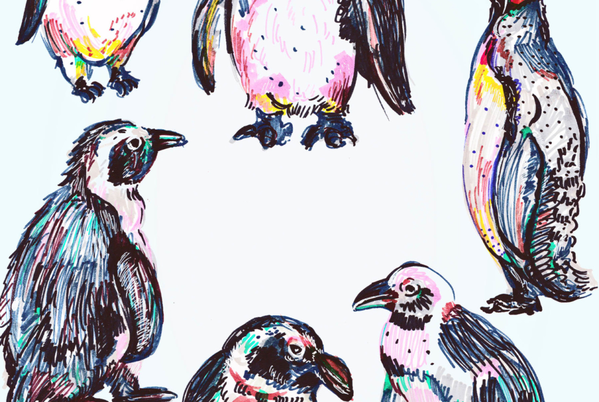2D Penguin Collection Illustration