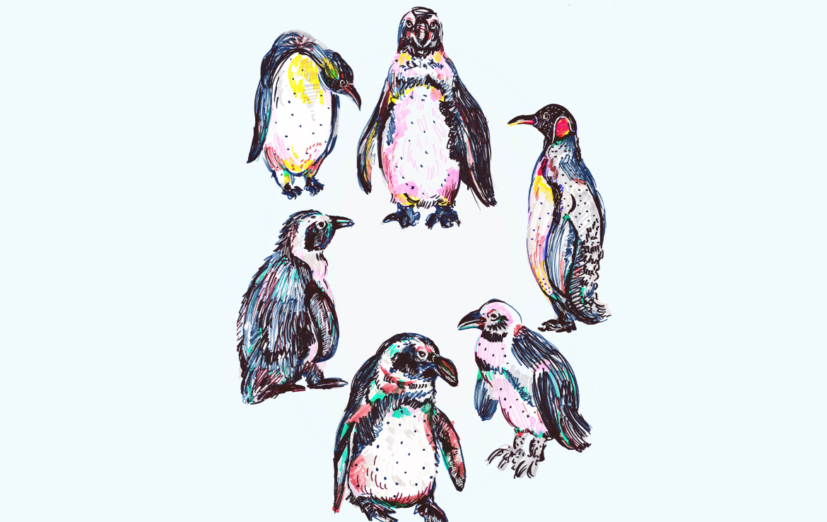 2D Penguins Illustration