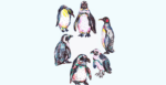 2D Penguins Illustration