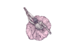 2D Pink Ballerina Illustration Image