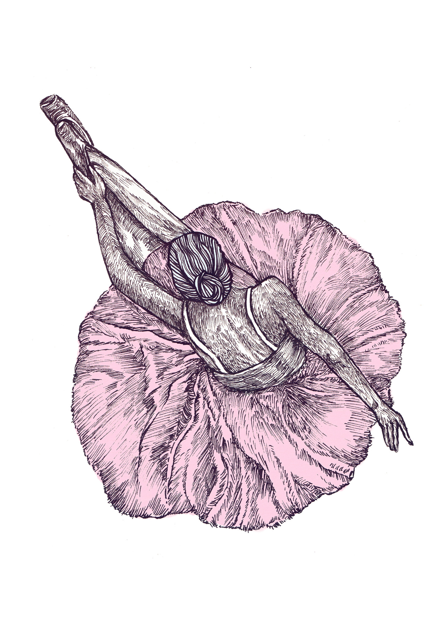 2D Pink Ballerina Illustration