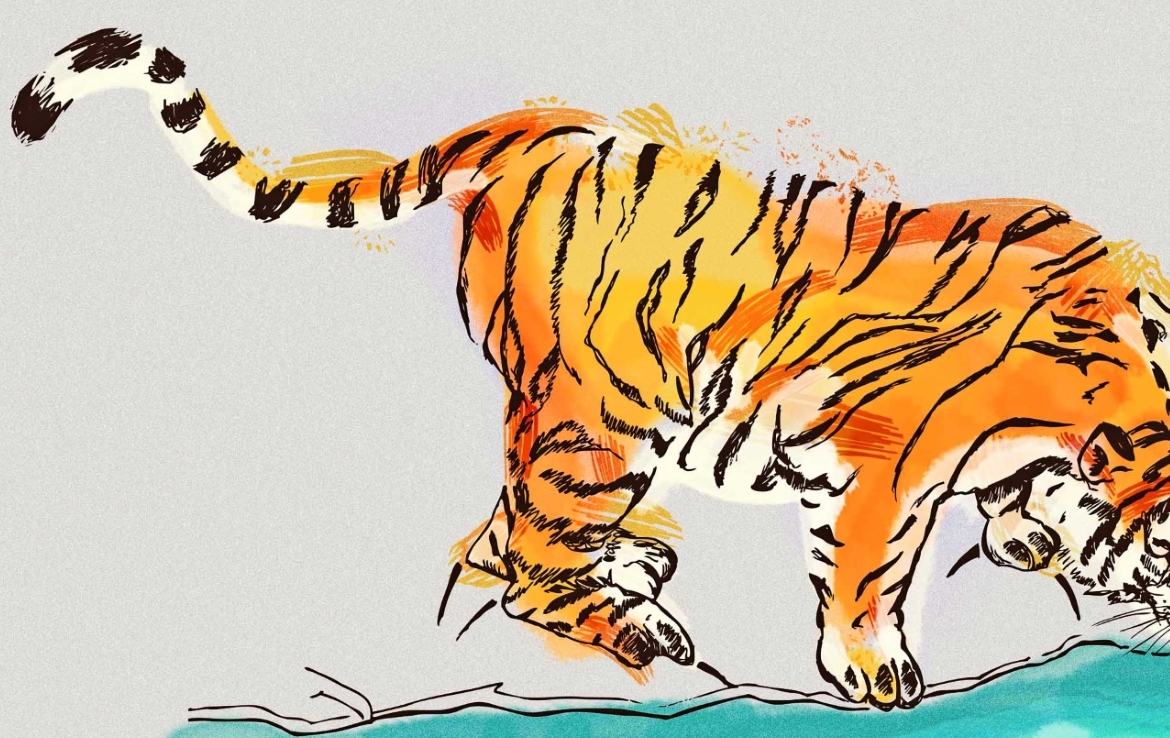 2D Tiger Drinking Illustration Image