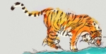 2D Tiger Drinking Illustration Image