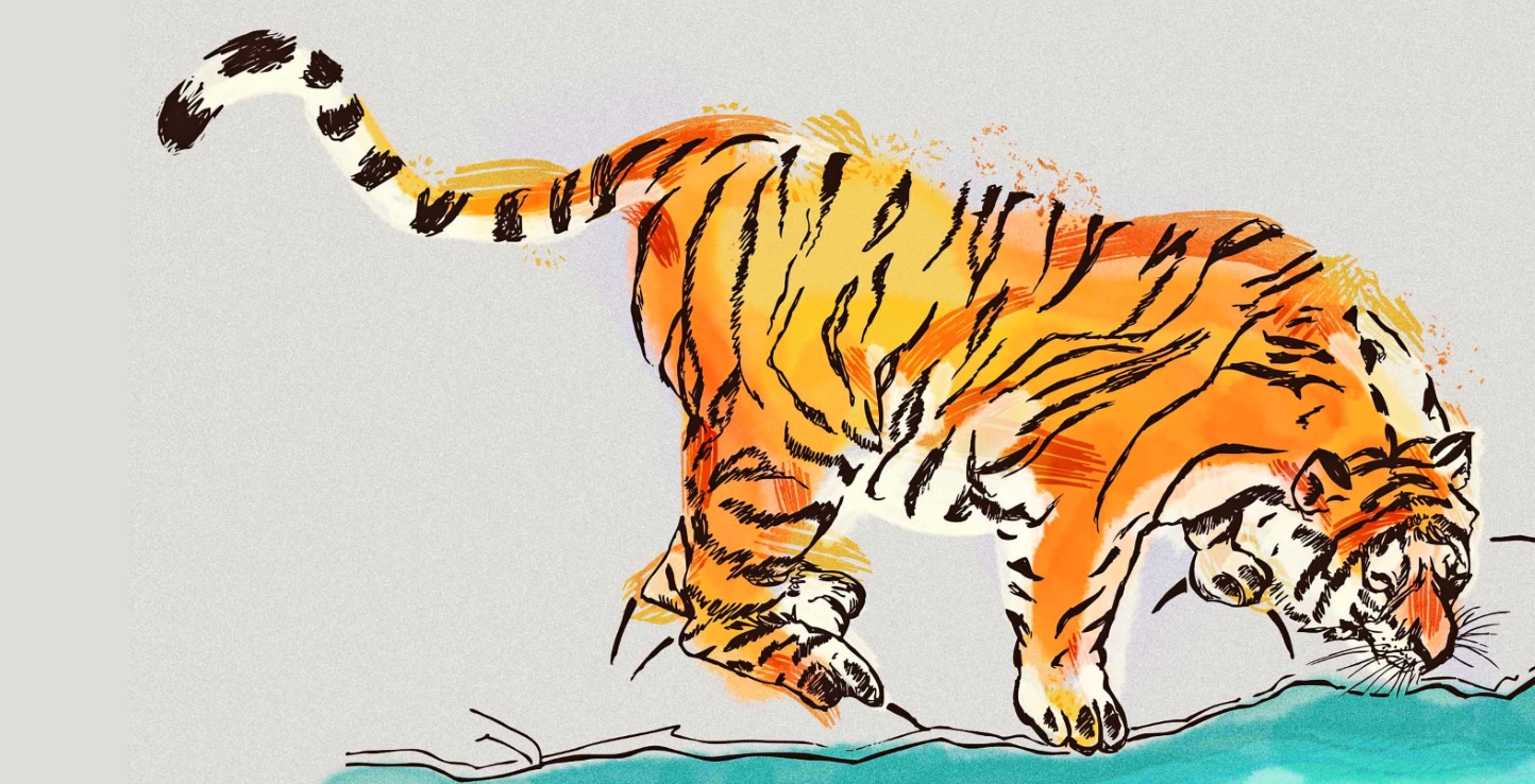 2D Tiger Drinking Illustration Image