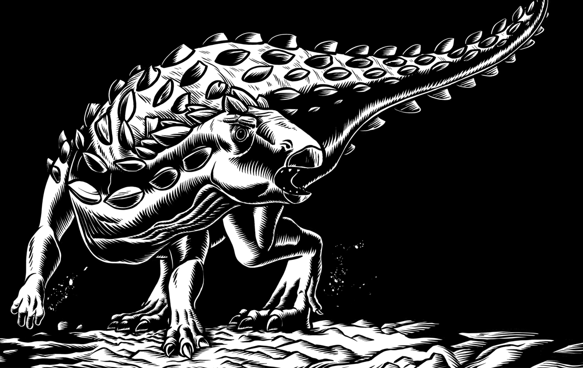 2D Black and White Ankilosaurus Dinosaur Illustration Thumbnail