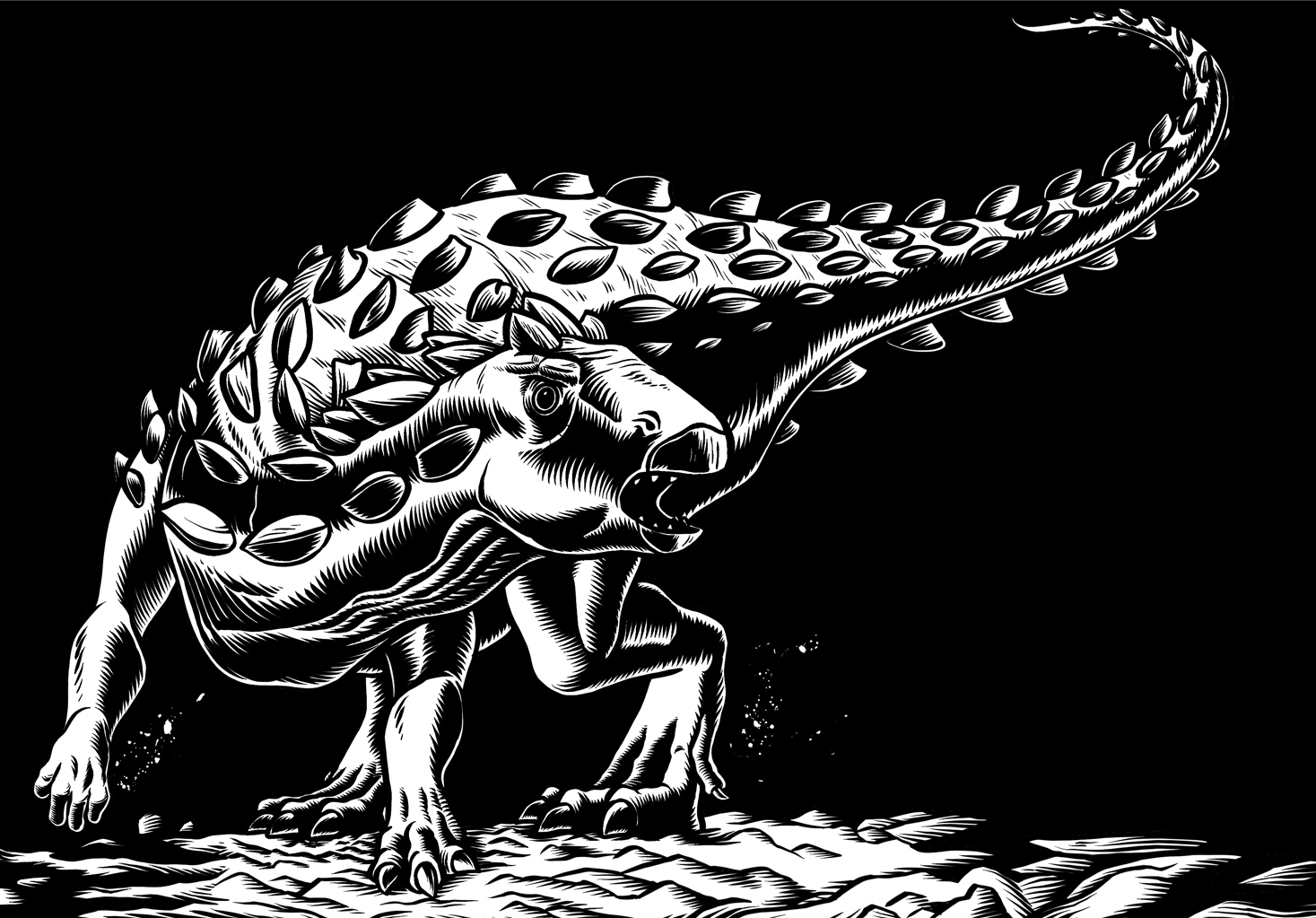 2D Black and White Ankilosaurus Dinosaur Illustration