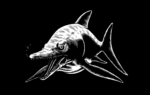 2D Black and White Dinosaur Dolphin Illustration Thumbnail