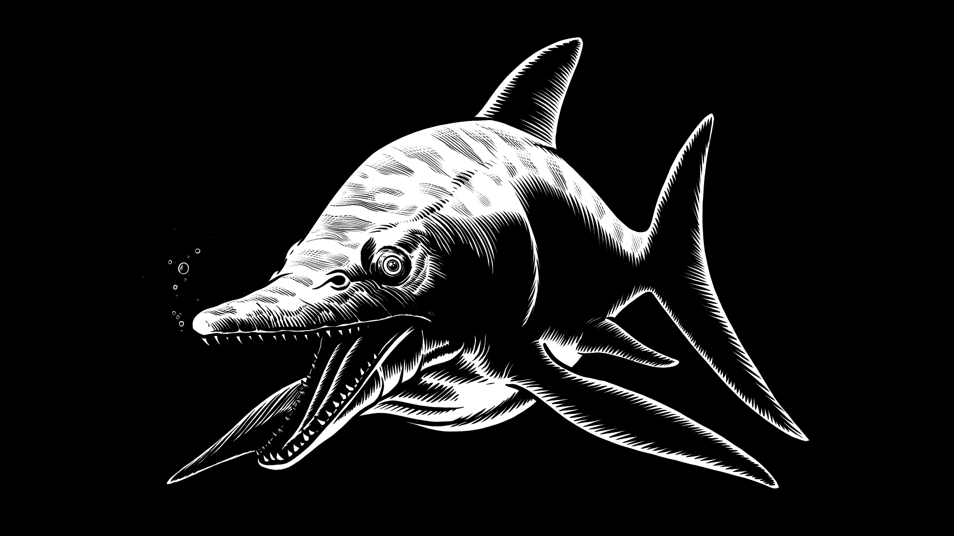 2D Black and White Dinosaur Dolphin Illustration