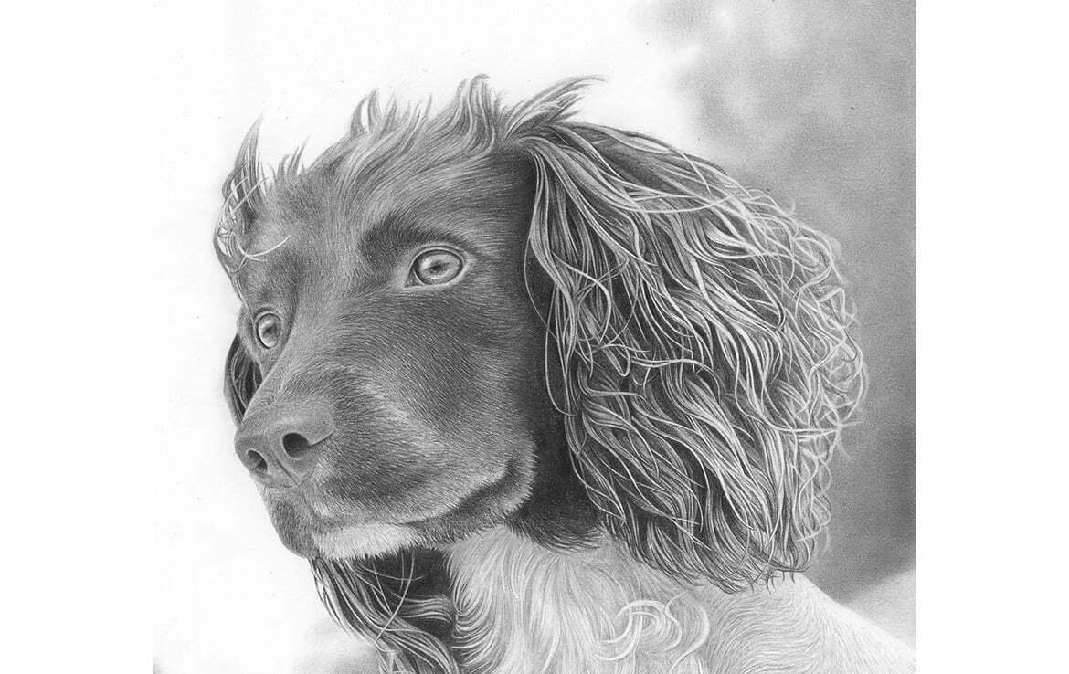 2D Dog Realistic Pencil Creature Illustration Thumbnail
