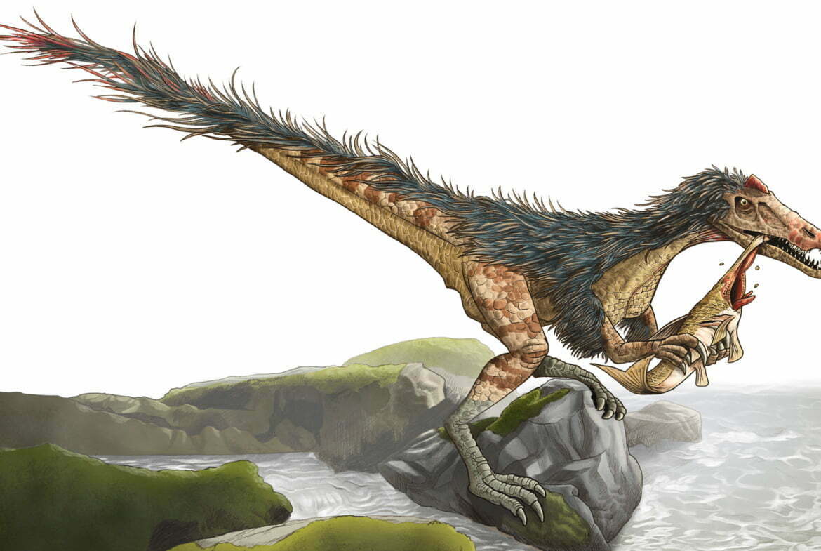 2D Feathered Dinosaur Eating Creature Illustration