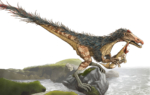 2D Feathered Dinosaur Eating Creature Illustration Thumbnail